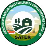 logo_safer